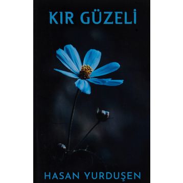 Kır Güzeli - Hasan Yurduşen