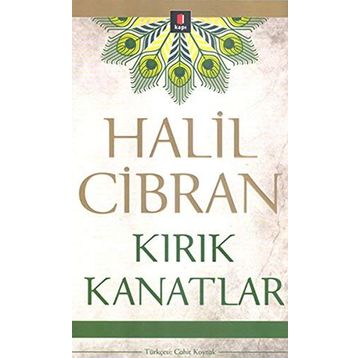 Kırık Kanatlar - Güngör Mazlum