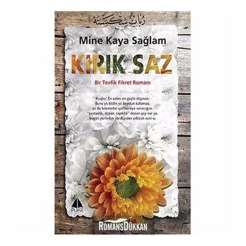 Kırık Saz - Mine Kaya Sağlam