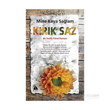Kırık Saz - Mine Kaya Sağlam