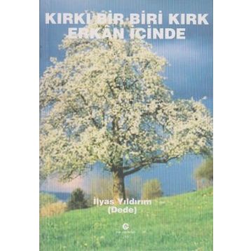 KIRKI BIR BIRI KIRK ERKAN İÇINDE - İLYAS YILDIRIM