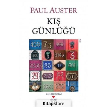 KIŞ GÜNLÜĞÜ - PAUL AUSTER