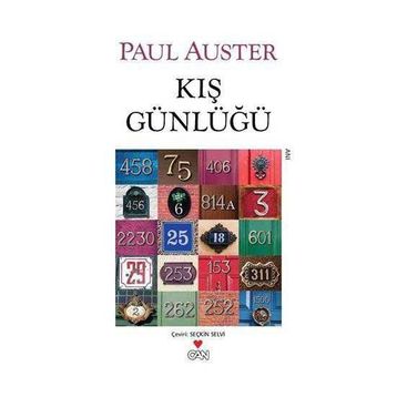 KIŞ GÜNLÜĞÜ - PAUL AUSTER