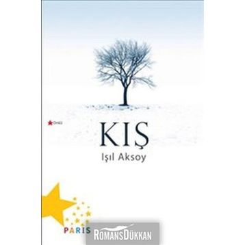 Kış - Işıl Aksoy