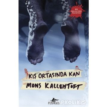 Kış Ortasında Kan - Mons Kallentoft