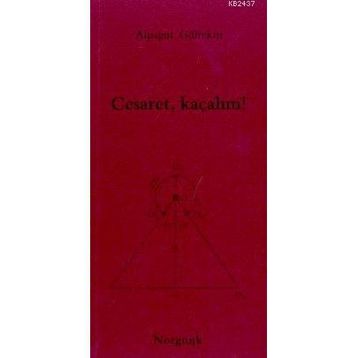 KIŞ YOLCULUĞU - EMINE CEYLAN