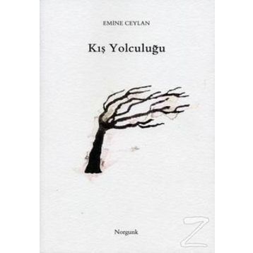 KIŞ YOLCULUĞU - EMINE CEYLAN