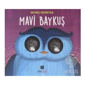 Kitap Mavi Baykuş Kitap