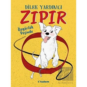 Kitap Tudem Yayınları Zıpır Özgürlük Peşinde