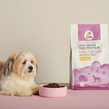 Kito 3x2,5 kg Yavru Köpek Maması