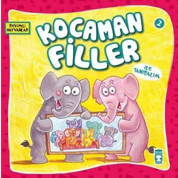 KOCAMAN FILLER - GENEL
