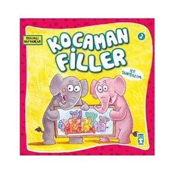 KOCAMAN FILLER - GENEL