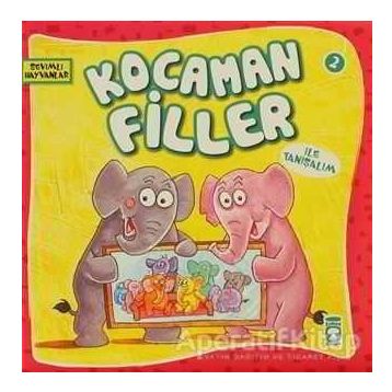 KOCAMAN FILLER - GENEL