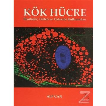 Kök Hücre - Alp Can