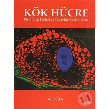 Kök Hücre - Alp Can