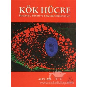 Kök Hücre - Alp Can