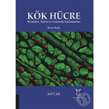 Kök Hücre - Alp Can