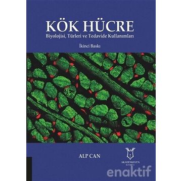 Kök Hücre - Alp Can