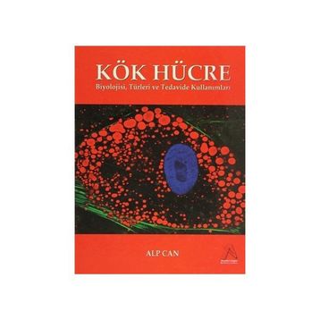 Kök Hücre - Alp Can