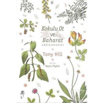 Kokulu Ot ve Baharat Ansiklopedisi - Tony Hill