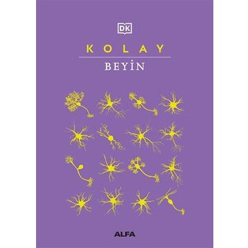 Kolay Beyin Alfa Yayınları
