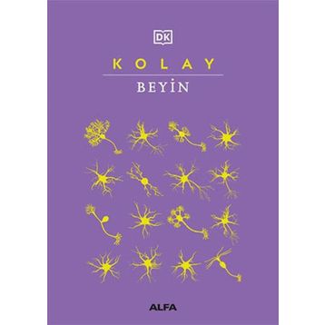 Kolay Beyin Alfa Yayınları