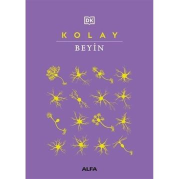 Kolay Beyin Alfa Yayınları