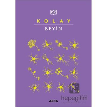 Kolay Beyin Alfa Yayınları