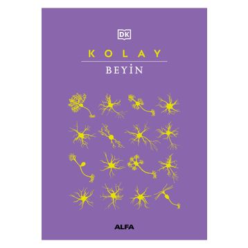 Kolay Beyin Alfa Yayınları