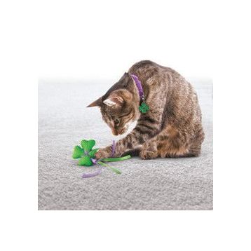 Kong Kedi Yün Hışırtı Oyuncak Ve Tasma Süsü 6 7cm