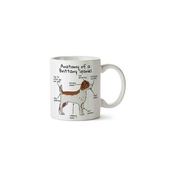 Köpek Anatomisi Brittany Spaniel Anatomy Baskılı Kupa