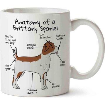 Köpek Anatomisi Brittany Spaniel Anatomy Baskılı Kupa