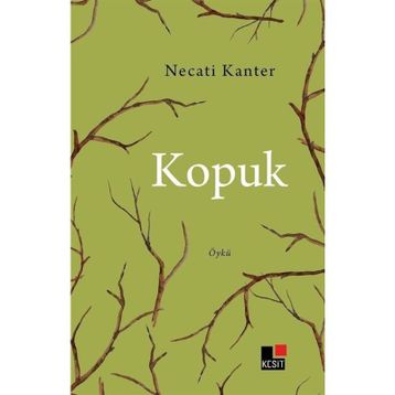 Kopuk Necati Kanter