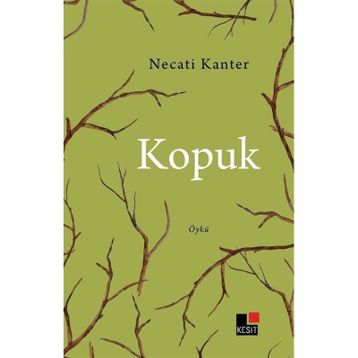 Kopuk Necati Kanter