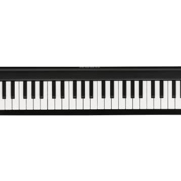 Korg MicroKEY2 49 Tuş Midi Klavye