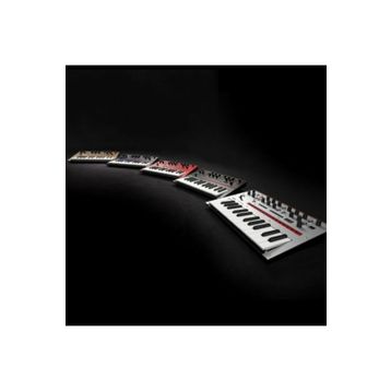 Korg Monologue Synthesizer