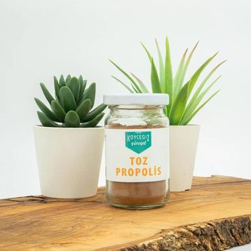 Köyceğiz Yöresel Toz Propolis Cam Kavanoz 50 gr