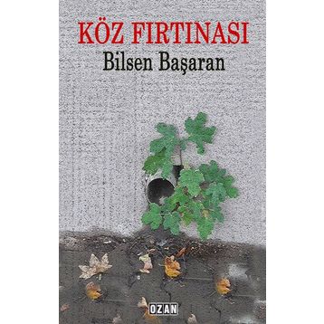 Köz Fırtınası - Bilsen Başaran
