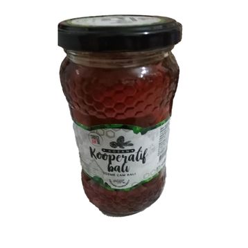 Kozan Kooperatif 460 gr Çam Balı