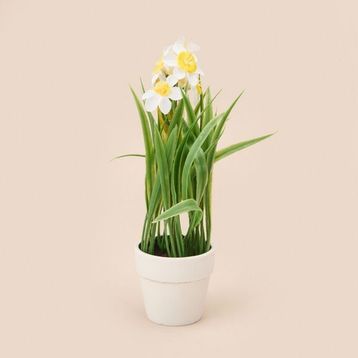 Kpm Spring Asorti 6x5 cm Çiçek