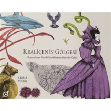 Kraliçenin Gölgesi - Cybele Young