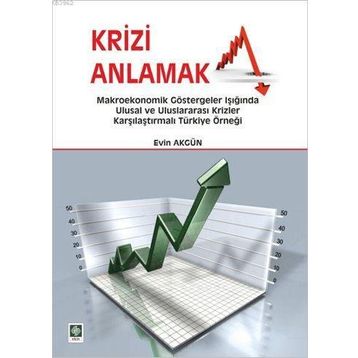 Krizi Anlamak - Evin Akgün