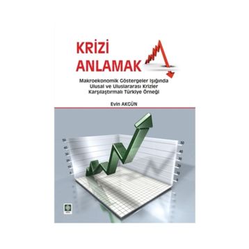 Krizi Anlamak - Evin Akgün