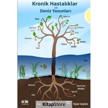 Kronik Hastalıklar ve Deniz Yosunları - Akıl Fikir Yayınları