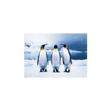 KS Games 100 Parça Animal Planet Penguins Puzzle