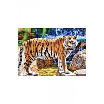KS Games Amazing Tiger 100 Parça Puzzle