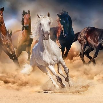 KS Games Koşan Vahşi Atlar 1000 Parça Puzzle