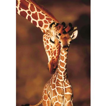 KS Games Stunning Giraffes 100 Parça Puzzle
