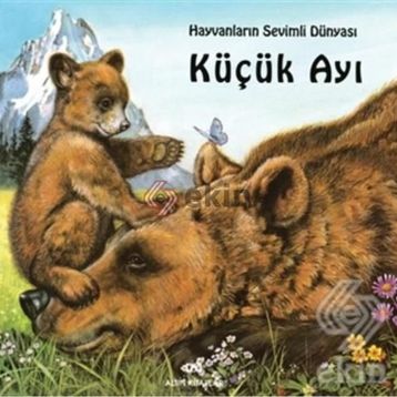KÜÇÜK AYI - GENEL