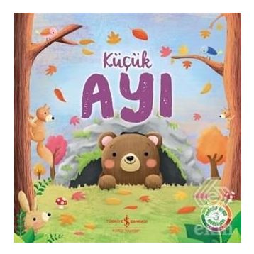 KÜÇÜK AYI - GENEL